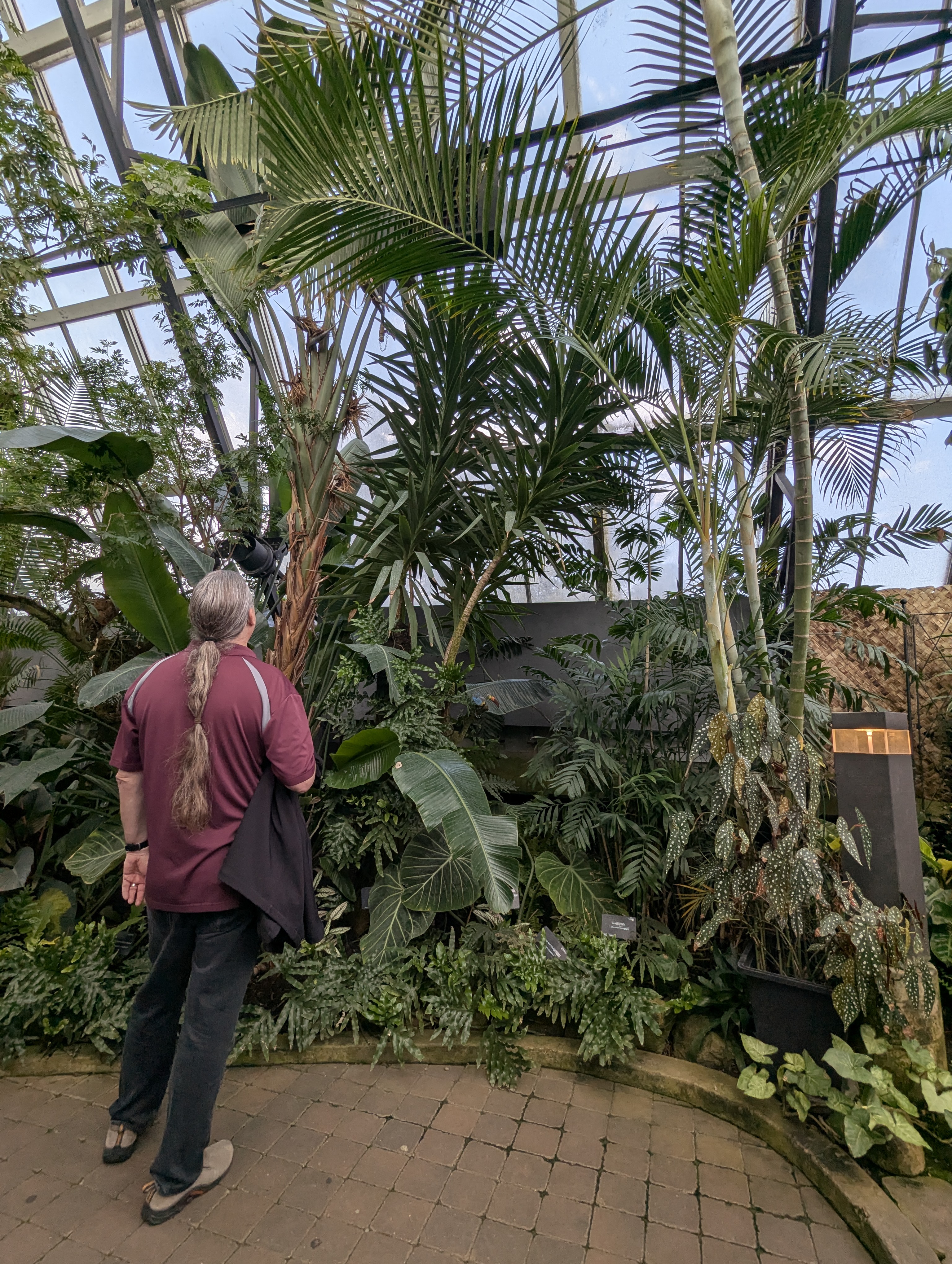 Birthday Trip to Canada, Edmonton, Pyramids, Muttart Observatory, Michael Sanders